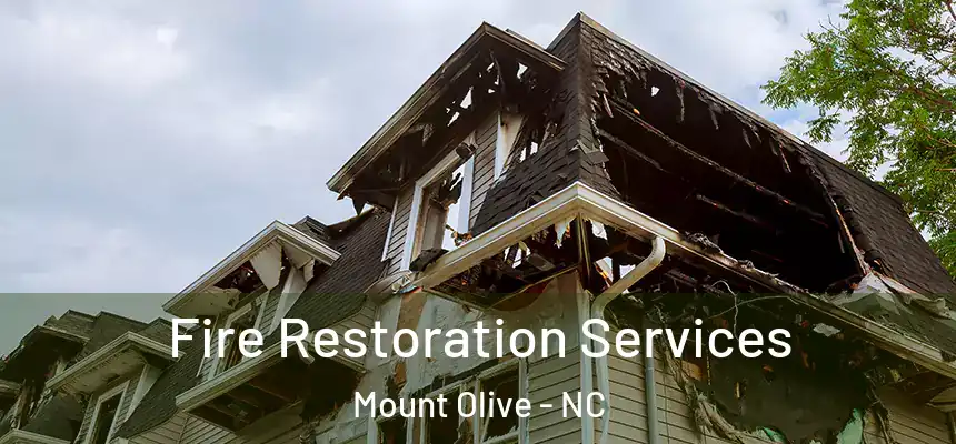 Fire Restoration Services Mount Olive - NC
