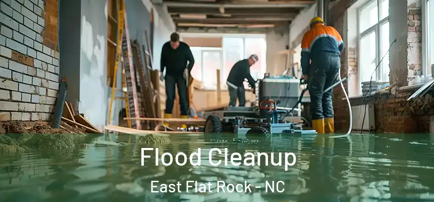 Flood Cleanup East Flat Rock - NC