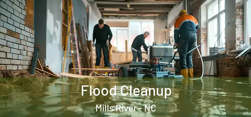 Flood Cleanup Mills River - NC