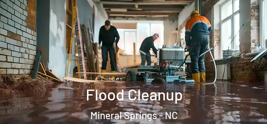 Flood Cleanup Mineral Springs - NC