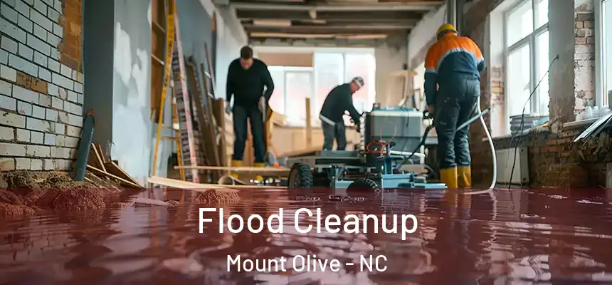  Flood Cleanup Mount Olive - NC