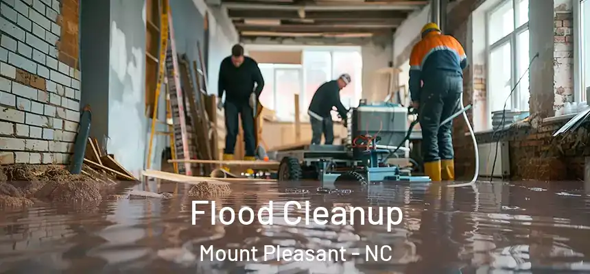 Flood Cleanup Mount Pleasant - NC