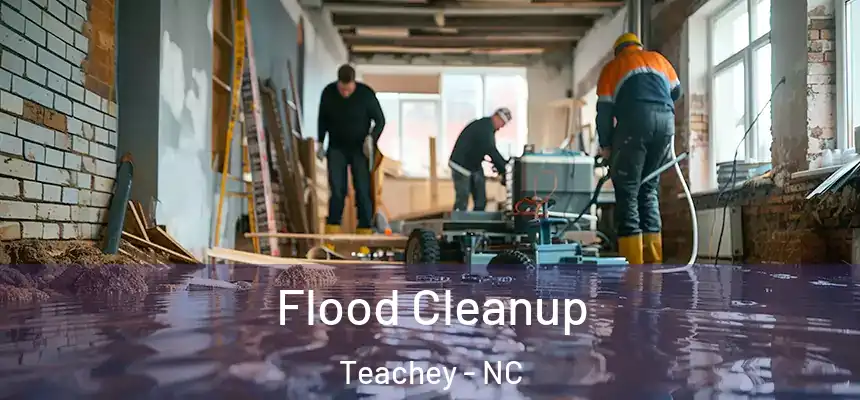  Flood Cleanup Teachey - NC