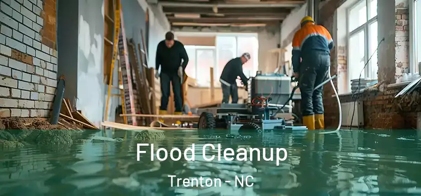  Flood Cleanup Trenton - NC