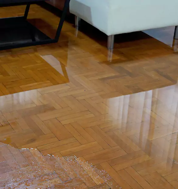 Trusted Emergency Water Restoration Company in Fayetteville, NC