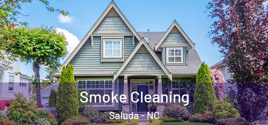  Smoke Cleaning Saluda - NC